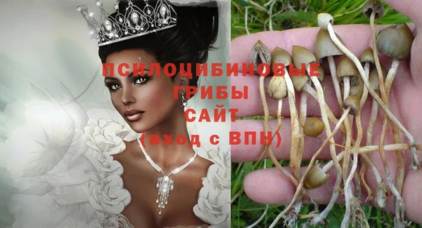 mdpv Алзамай