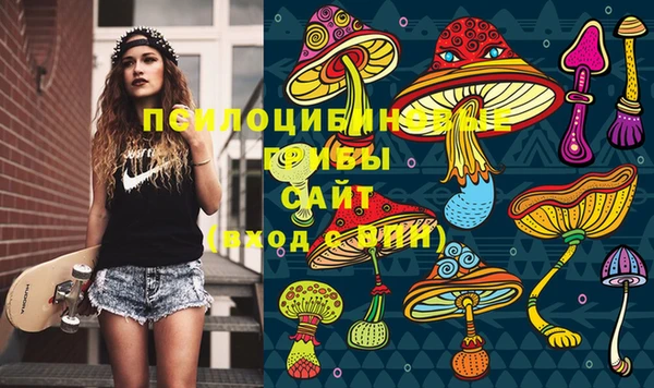 экстази Алексин